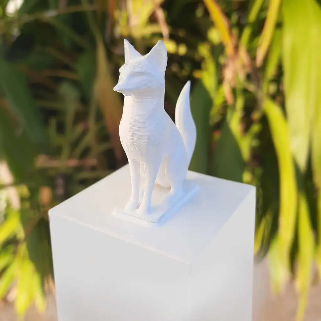Customized 3D Print
